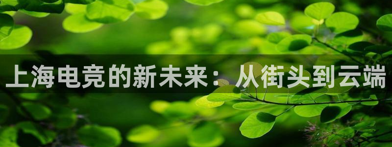 一竞技官网：上海电竞的新未来：从街头到云端