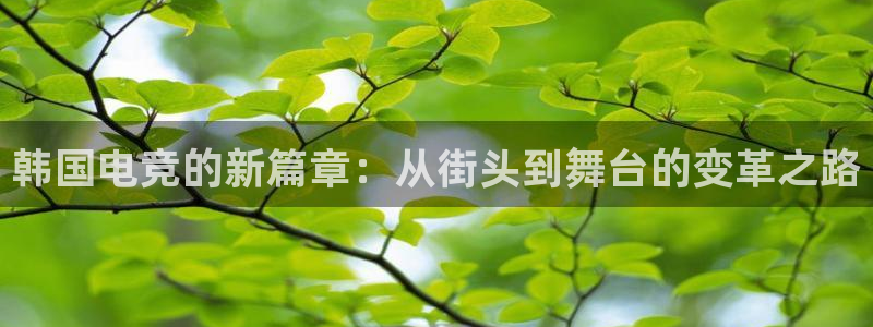 一竞技网址：韩国电竞的新篇章：从街头到舞台的变革之路