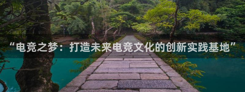 一竞技：“电竞之梦：打造未来电竞文化的创新实践基地”