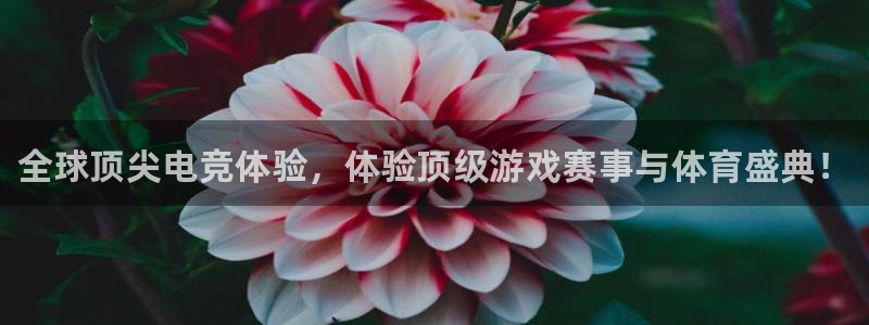 一竞技平台：全球顶尖电竞体验，体验顶级游戏赛事与体育盛典！