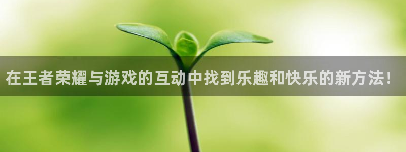 一竞技官网：在王者荣耀与游戏的互动中找到乐趣和快乐的新方法！