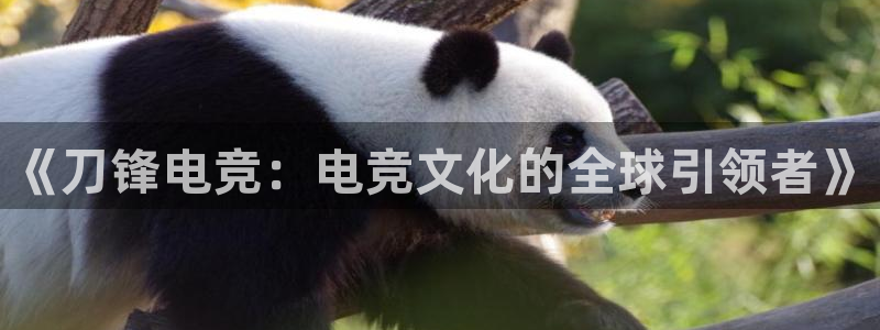 一竞技官网下载：《刀锋电竞：电竞文化的全球引领者》
