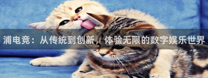 一竞技官网：浦电竞：从传统到创新，体验无限的数字娱乐世界